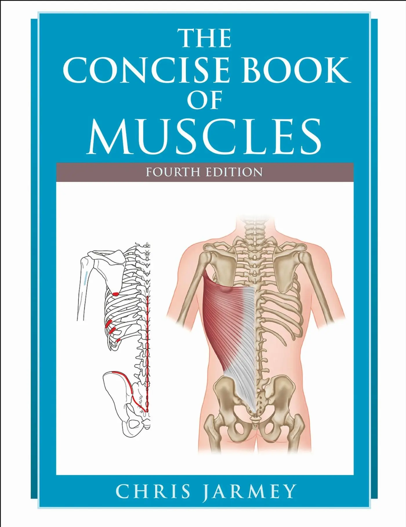 Cover: 9781718245839 | The Concise Book of Muscles | Chris Jarmey | Taschenbuch | Englisch