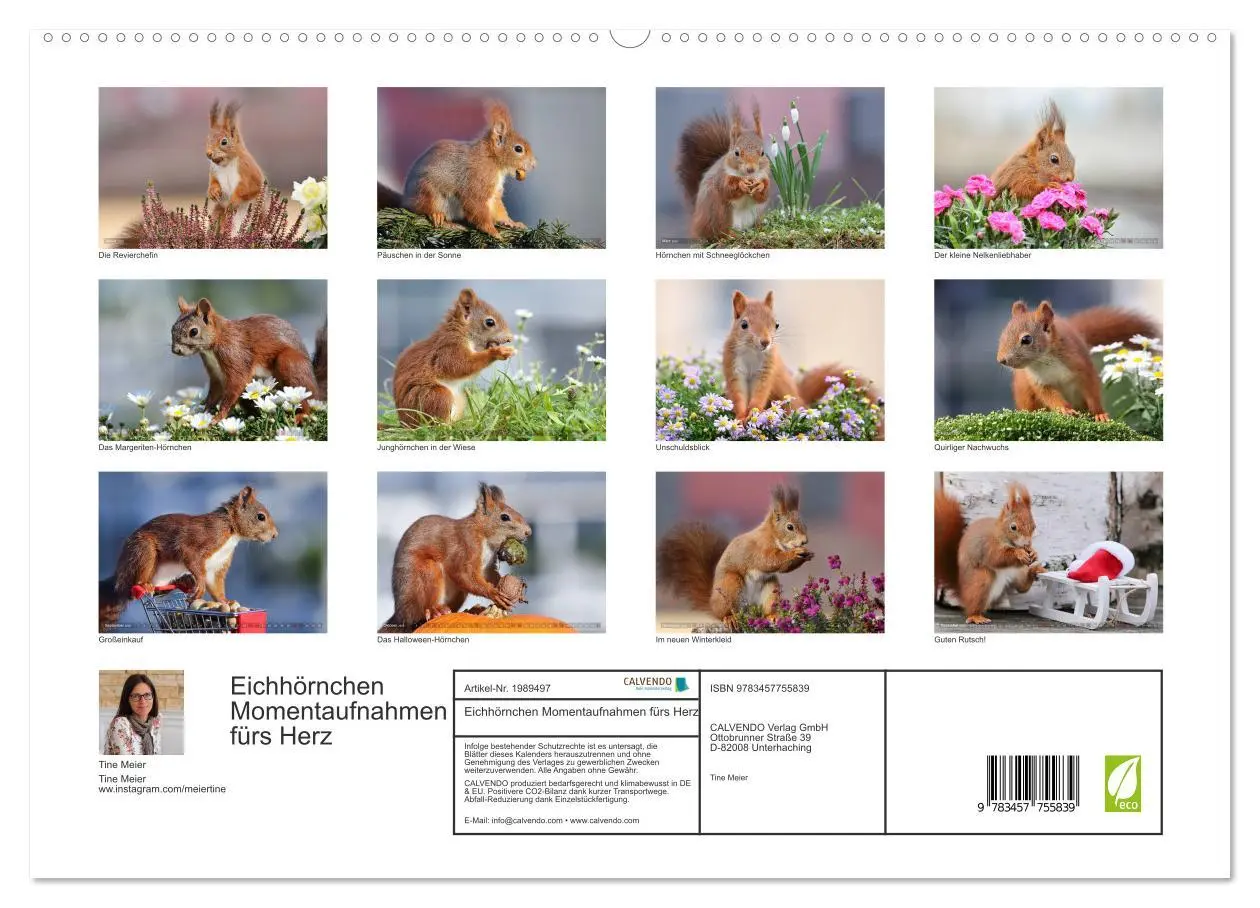 Bild: 9783457755839 | Eichhörnchen Momentaufnahmen fürs Herz (hochwertiger Premium...