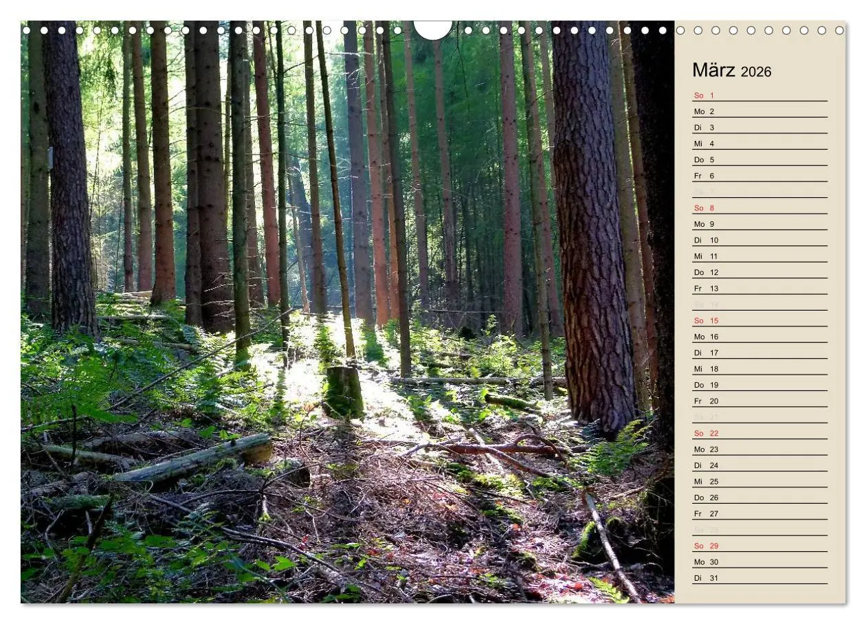 Bild: 9783457995839 | Bad Orb - Romantik im Spessart (Wandkalender 2026 DIN A3 quer),...