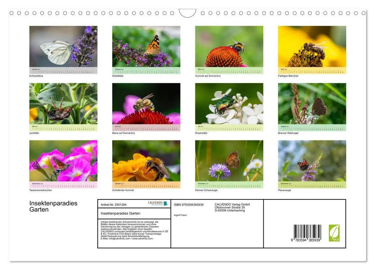 Bild: 9783594365939 | Insektenparadies Garten (Wandkalender 2027 DIN A3 quer), CALVENDO...