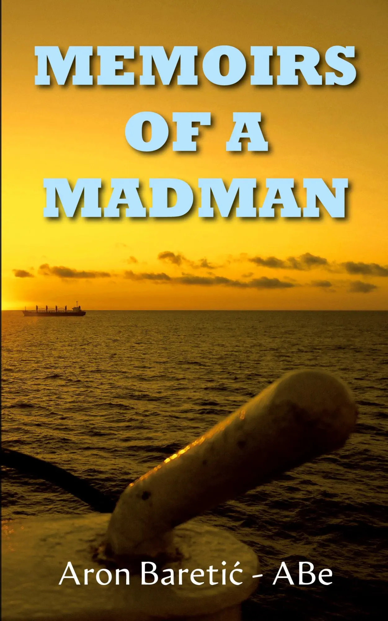 Cover: 9781835636039 | Memoirs of a Madman | Aron Bareti¿ - ABe | Taschenbuch | Englisch