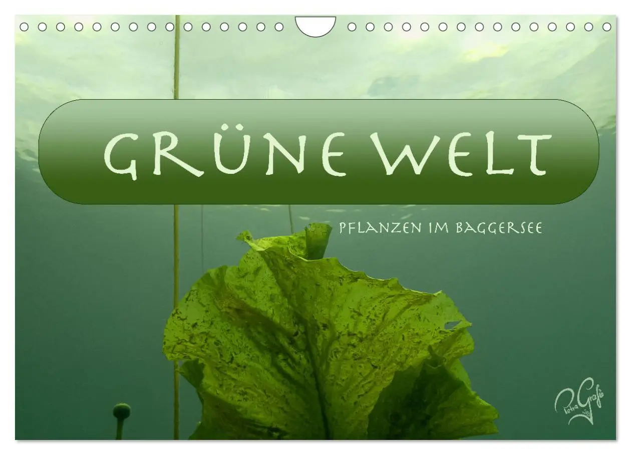 Cover: 9783457636039 | Baggersee - die grüne Welt (Wandkalender 2026 DIN A4 quer),...
