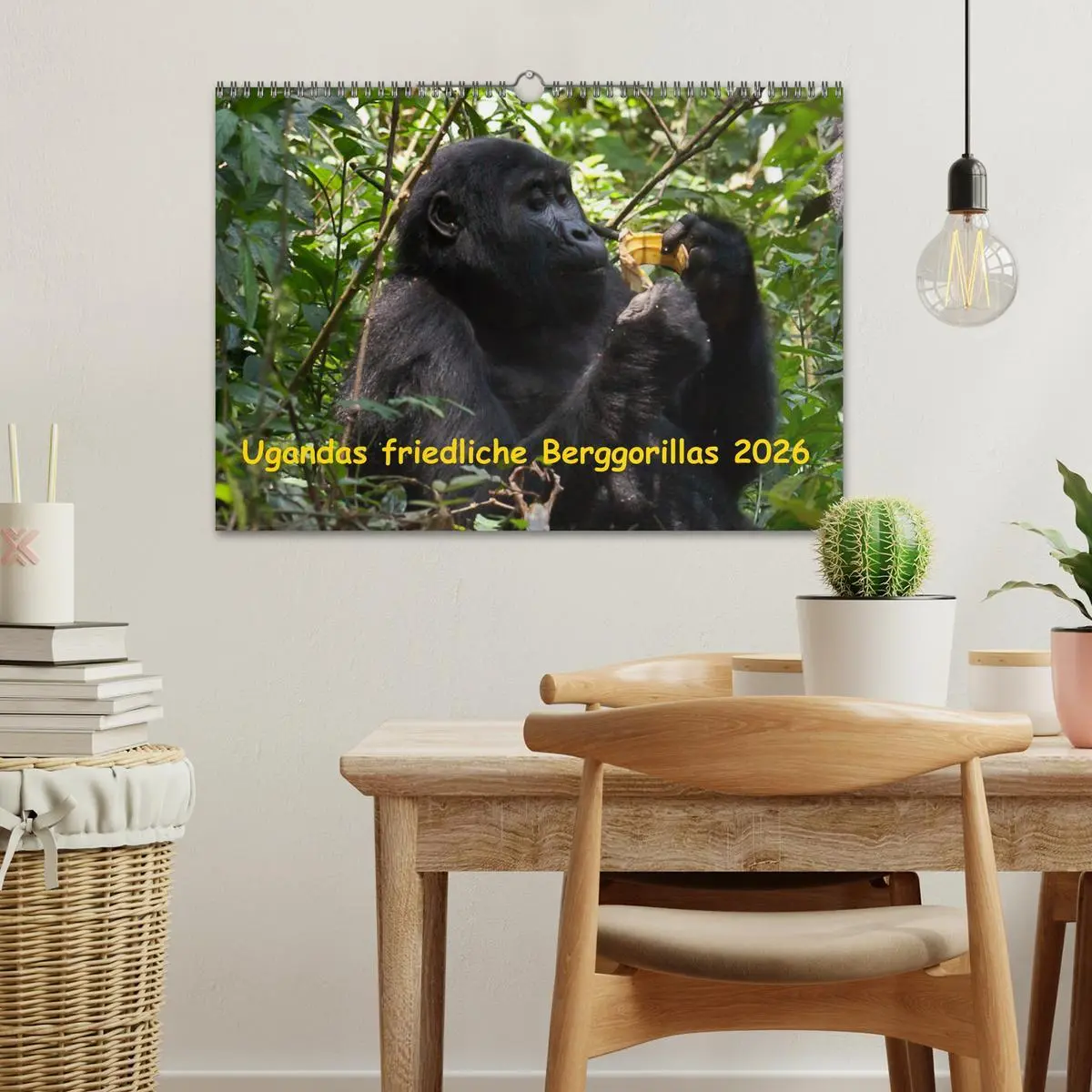 Bild: 9783457876039 | Ugandas friedliche Berggorillas (Wandkalender 2026 DIN A3 quer),...