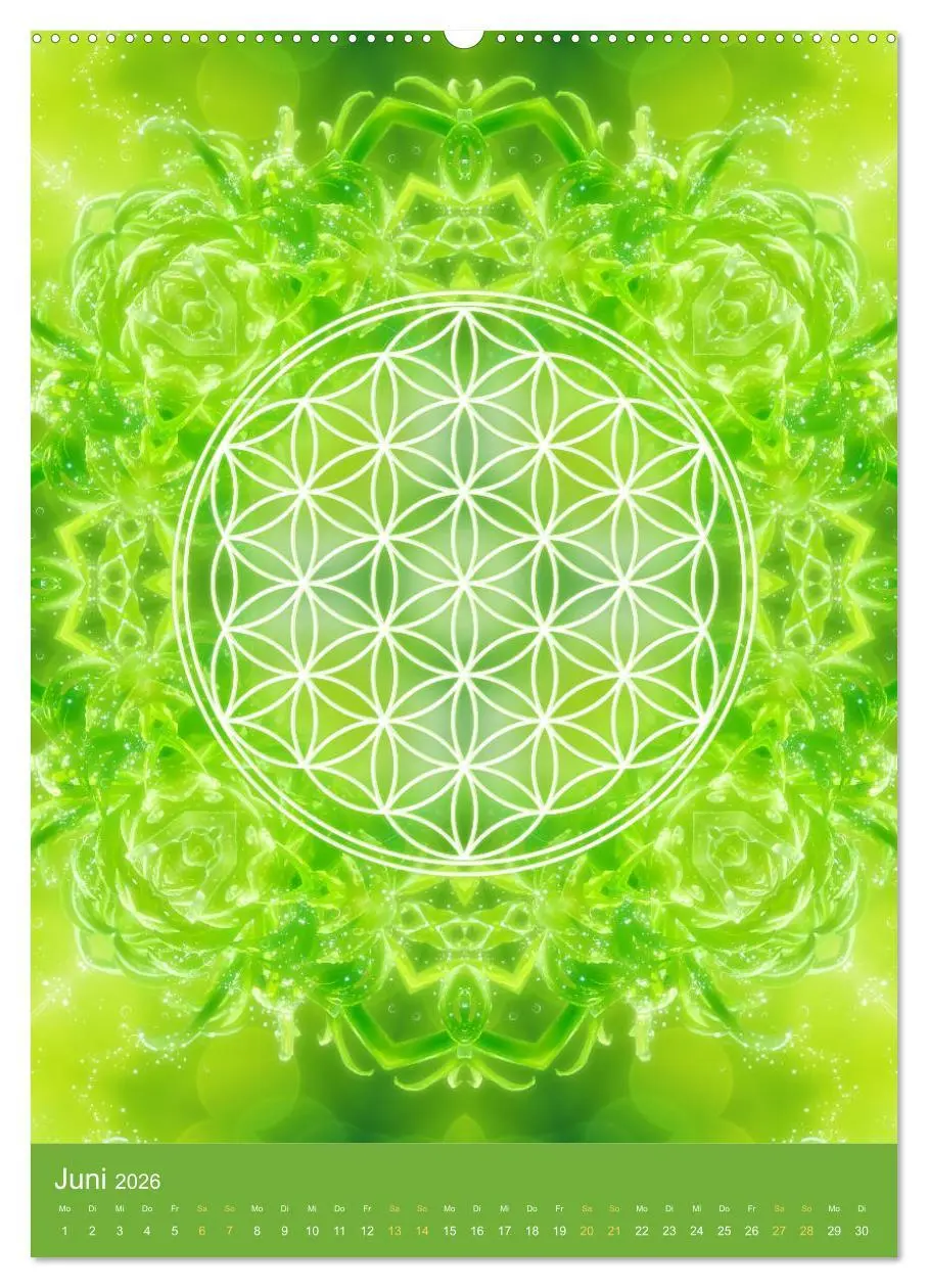Bild: 9783516416039 | Blume des Lebens - Harmonie durch Symbolkraft (Wandkalender 2026...