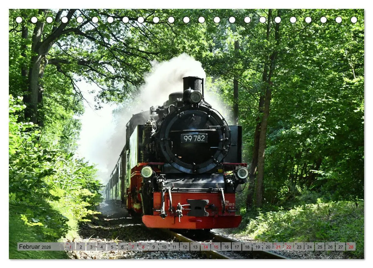 Bild: 9783457626139 | Mit Dampf durch die Natur Rügens (Tischkalender 2026 DIN A5 quer),...