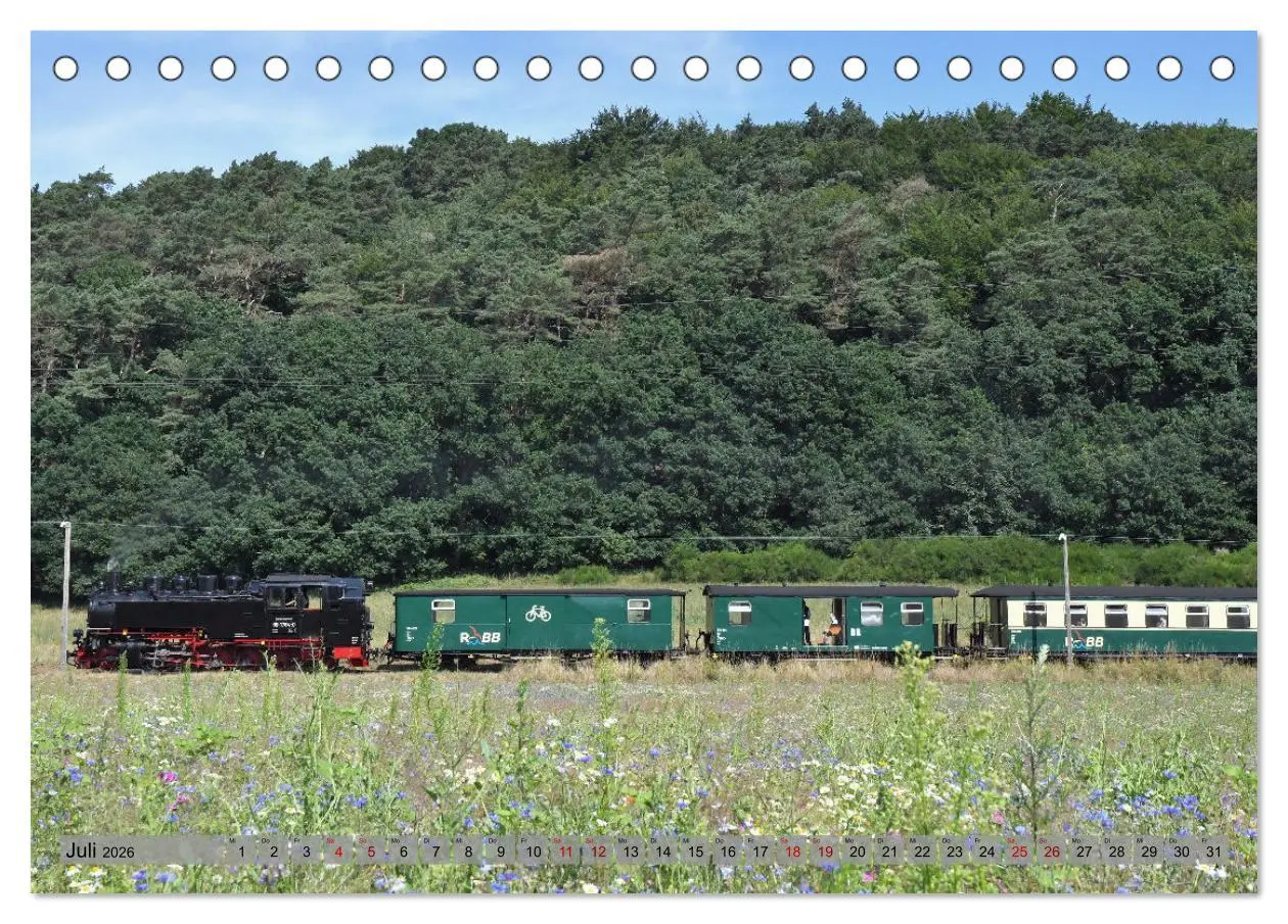 Bild: 9783457626139 | Mit Dampf durch die Natur Rügens (Tischkalender 2026 DIN A5 quer),...