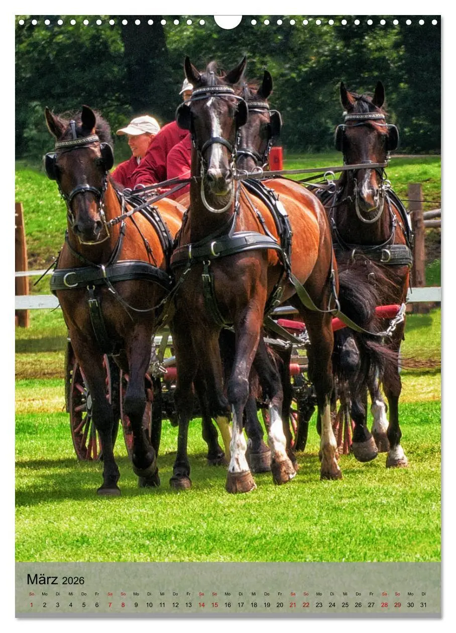 Bild: 9783516406139 | Pferde im Fahrsport (Wandkalender 2026 DIN A3 hoch), CALVENDO...
