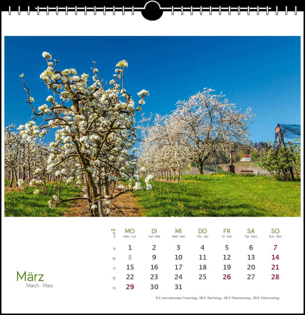 Bild: 9783861926139 | Schwarzwald 2027 | Postkarten-Tischkalender | Clemens Emmler | 13 S.