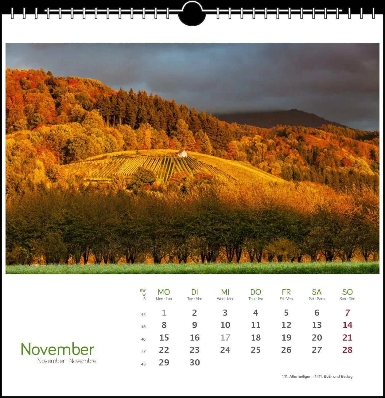 Bild: 9783861926139 | Schwarzwald 2027 | Postkarten-Tischkalender | Clemens Emmler | 13 S.