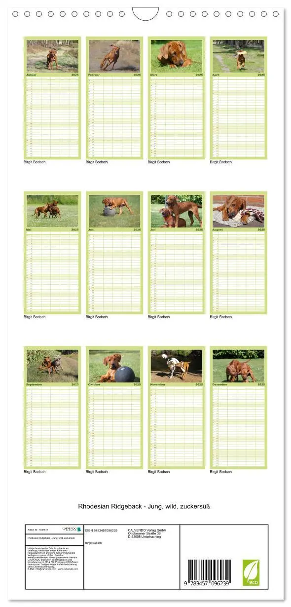 Bild: 9783457096239 | Familienplaner 2025 - Rhodesian Ridgeback - Jung, wild, zuckersüß...