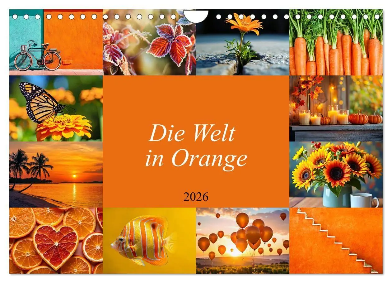 Cover: 9783516706239 | Die Welt in Orange (Wandkalender 2026 DIN A4 quer), CALVENDO...