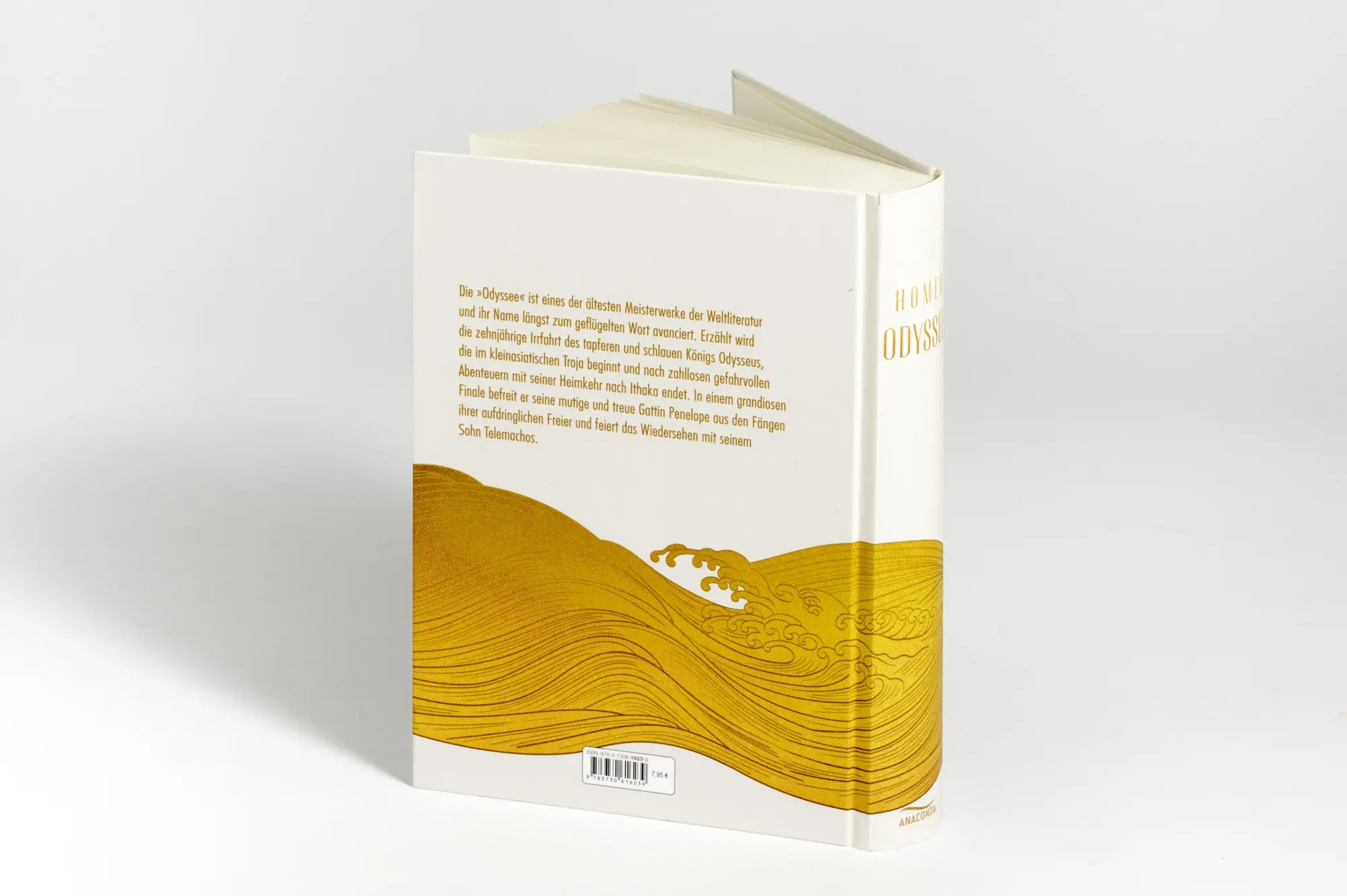 Bild: 9783730616239 | Odyssee | Homer | Buch | 384 S. | Deutsch | 2026 | Anaconda Verlag