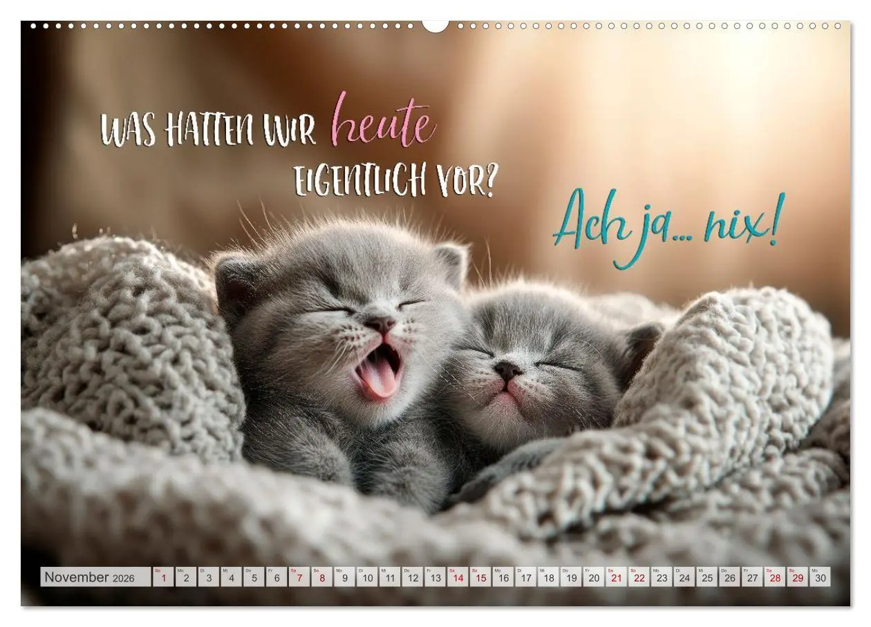 Bild: 9783516166439 | Ein tierisch gutes Jahr (Wandkalender 2026 DIN A2 quer), CALVENDO...