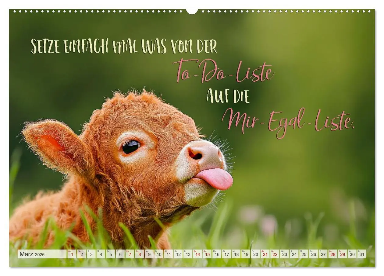 Bild: 9783516166439 | Ein tierisch gutes Jahr (Wandkalender 2026 DIN A2 quer), CALVENDO...
