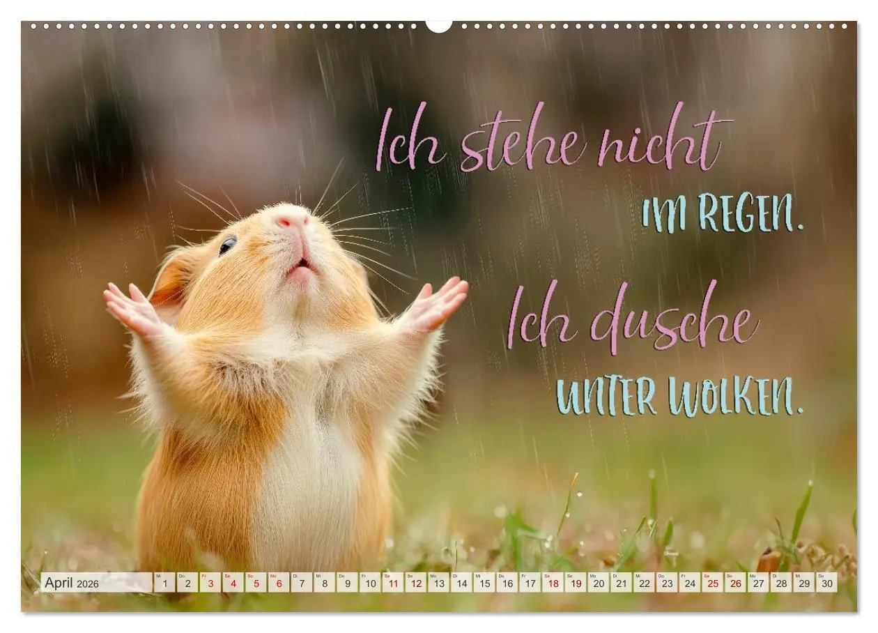 Bild: 9783516166439 | Ein tierisch gutes Jahr (Wandkalender 2026 DIN A2 quer), CALVENDO...