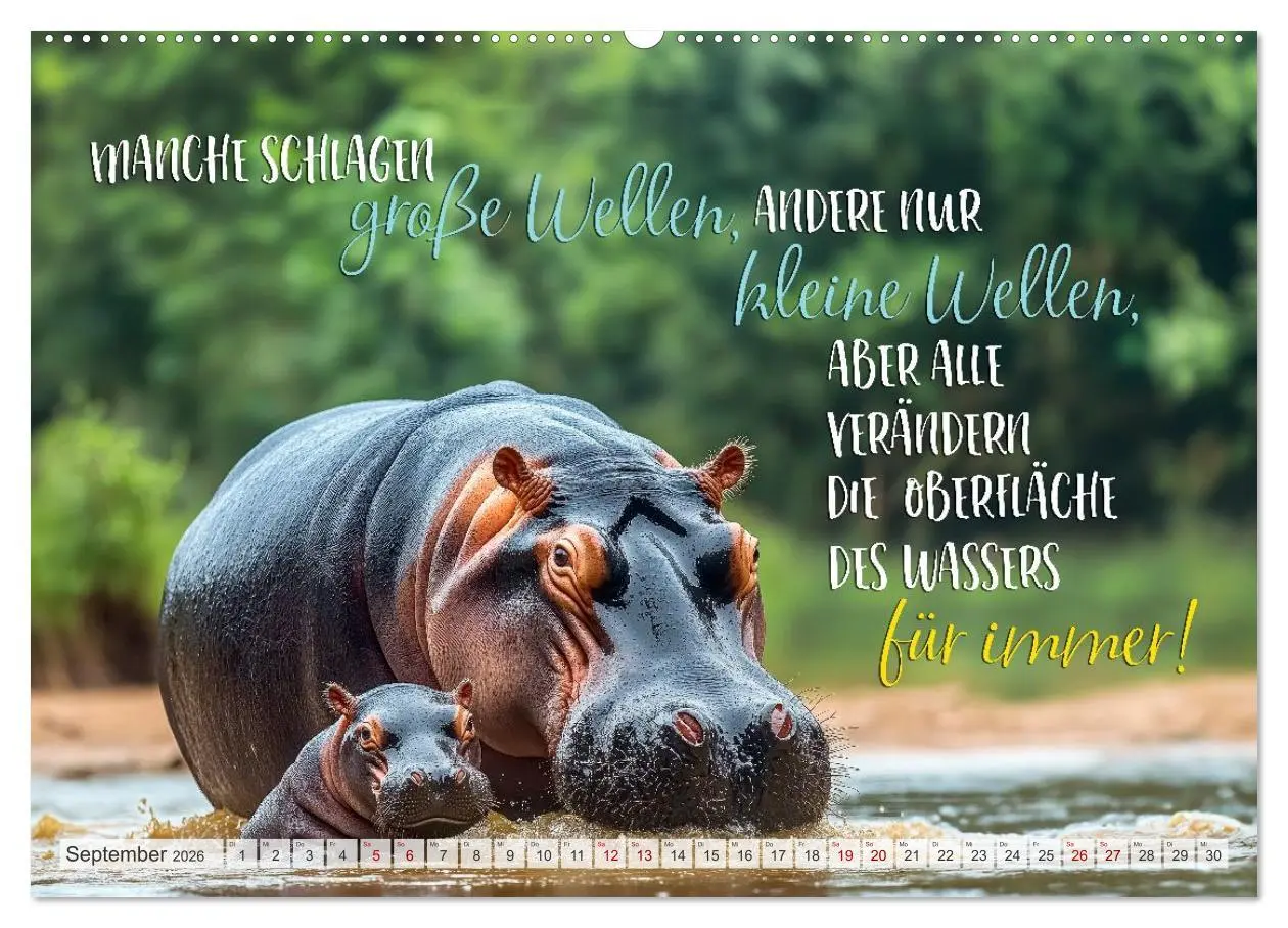 Bild: 9783516166439 | Ein tierisch gutes Jahr (Wandkalender 2026 DIN A2 quer), CALVENDO...