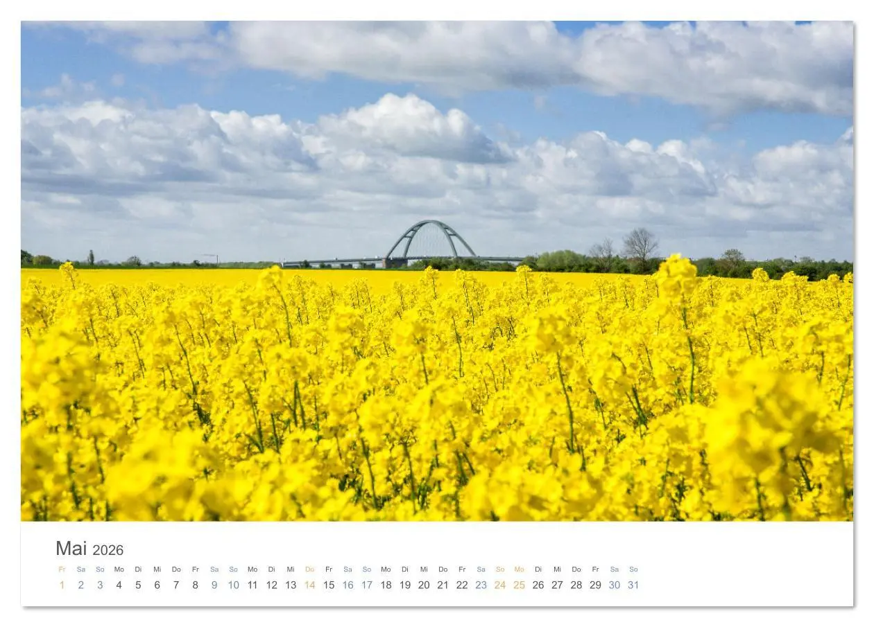 Bild: 9783516616439 | Die Sonneninsel Fehmarn (Tischkalender 2026 DIN A5 quer), CALVENDO...
