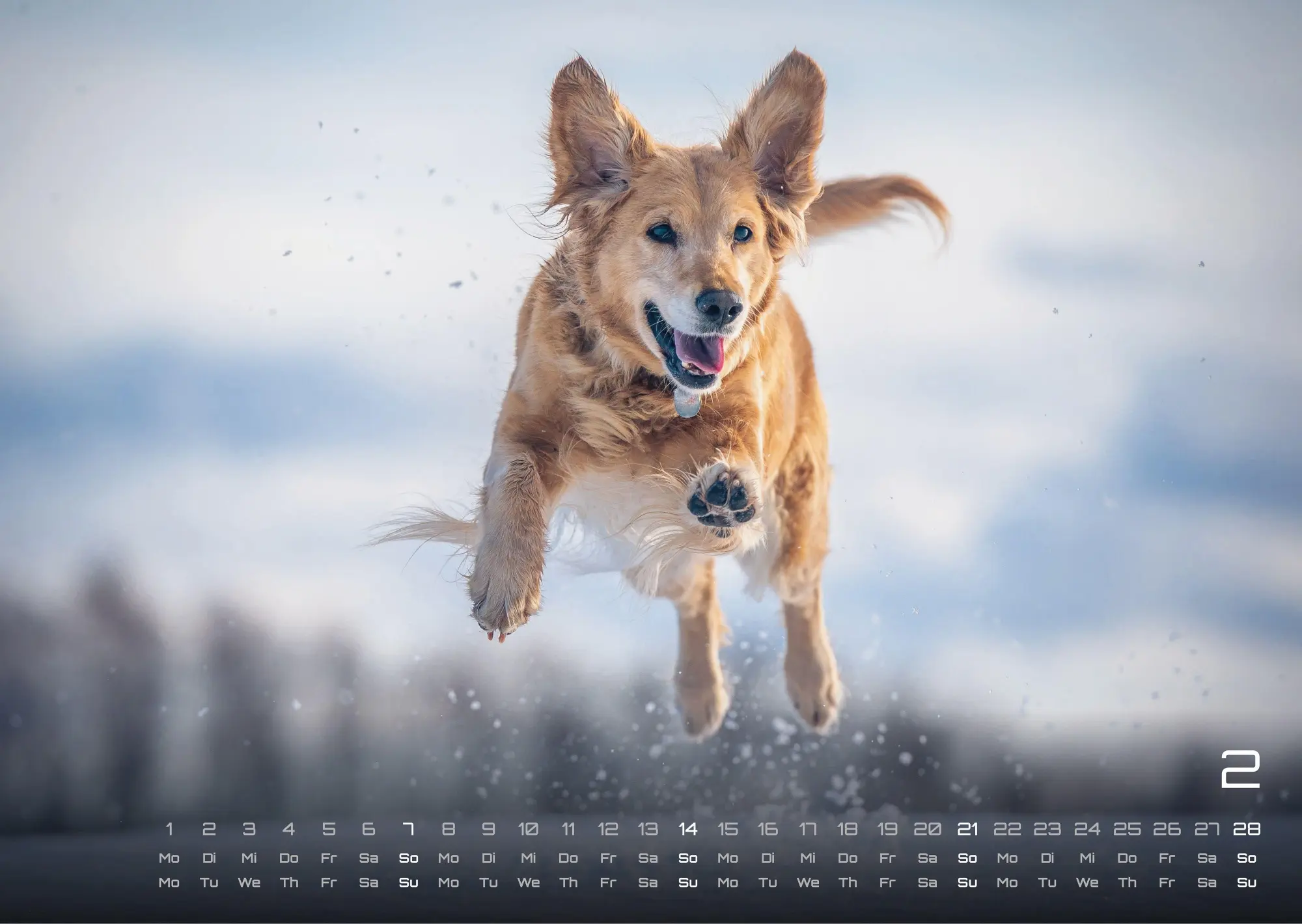 Bild: 9783986736439 | Wuff - Unsere Vierbeiner - Der Hundekalender - 2027 - Kalender DIN A3