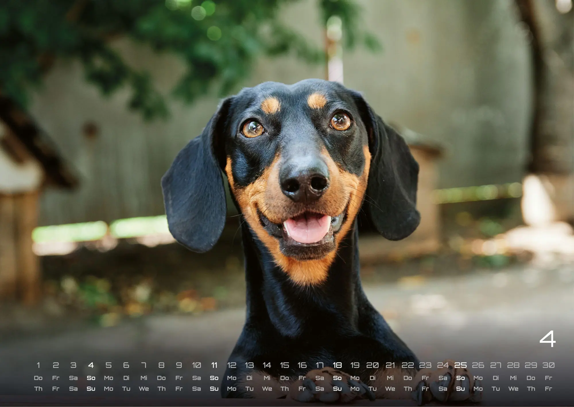 Bild: 9783986736439 | Wuff - Unsere Vierbeiner - Der Hundekalender - 2027 - Kalender DIN A3