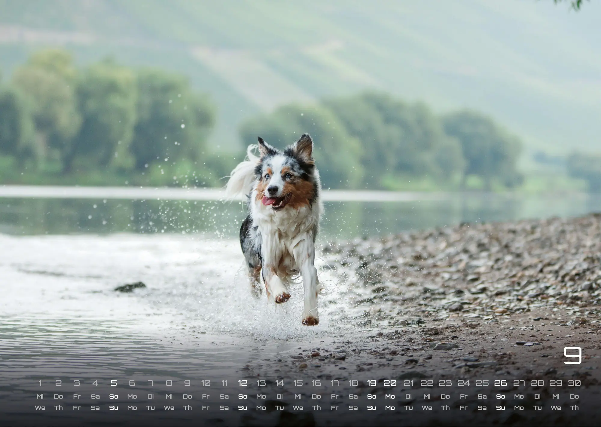 Bild: 9783986736439 | Wuff - Unsere Vierbeiner - Der Hundekalender - 2027 - Kalender DIN A3