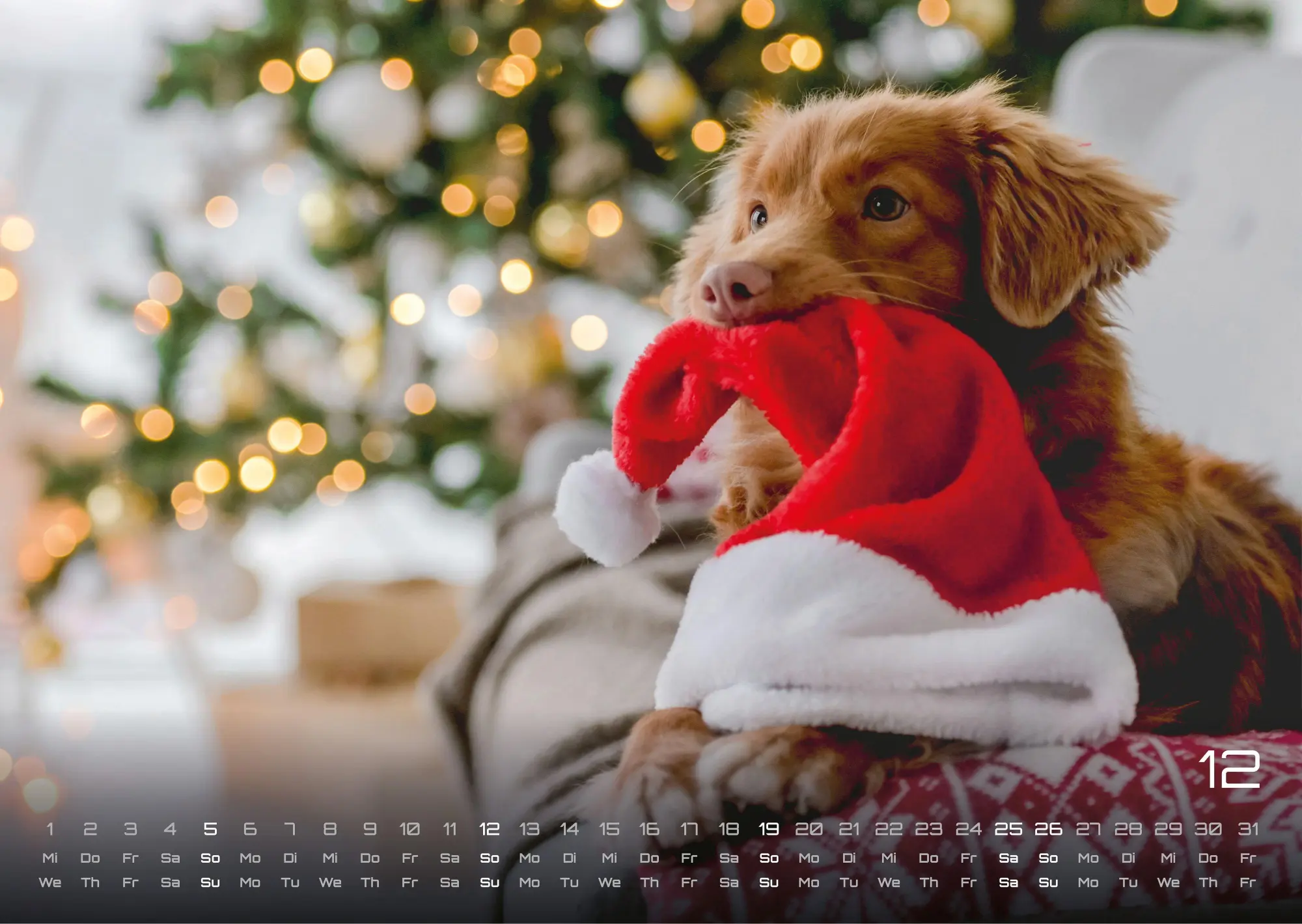 Bild: 9783986736439 | Wuff - Unsere Vierbeiner - Der Hundekalender - 2027 - Kalender DIN A3