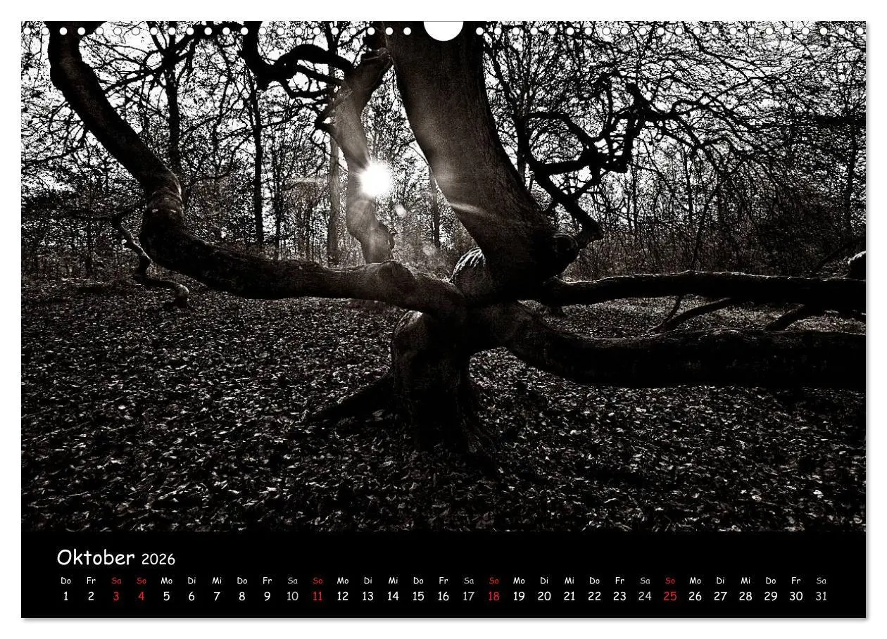 Bild: 9783516226539 | Rügen in schwarz-weiß (Wandkalender 2026 DIN A3 quer), CALVENDO...