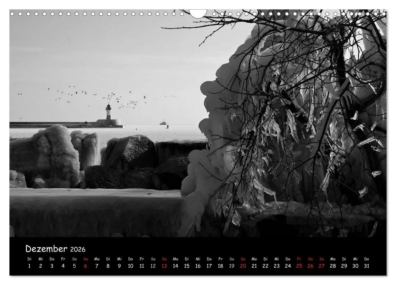 Bild: 9783516226539 | Rügen in schwarz-weiß (Wandkalender 2026 DIN A3 quer), CALVENDO...