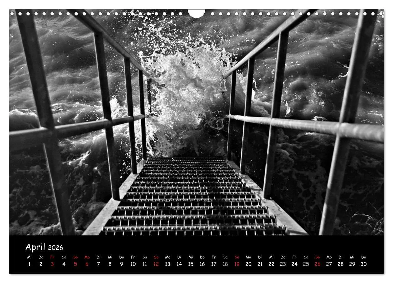 Bild: 9783516226539 | Rügen in schwarz-weiß (Wandkalender 2026 DIN A3 quer), CALVENDO...