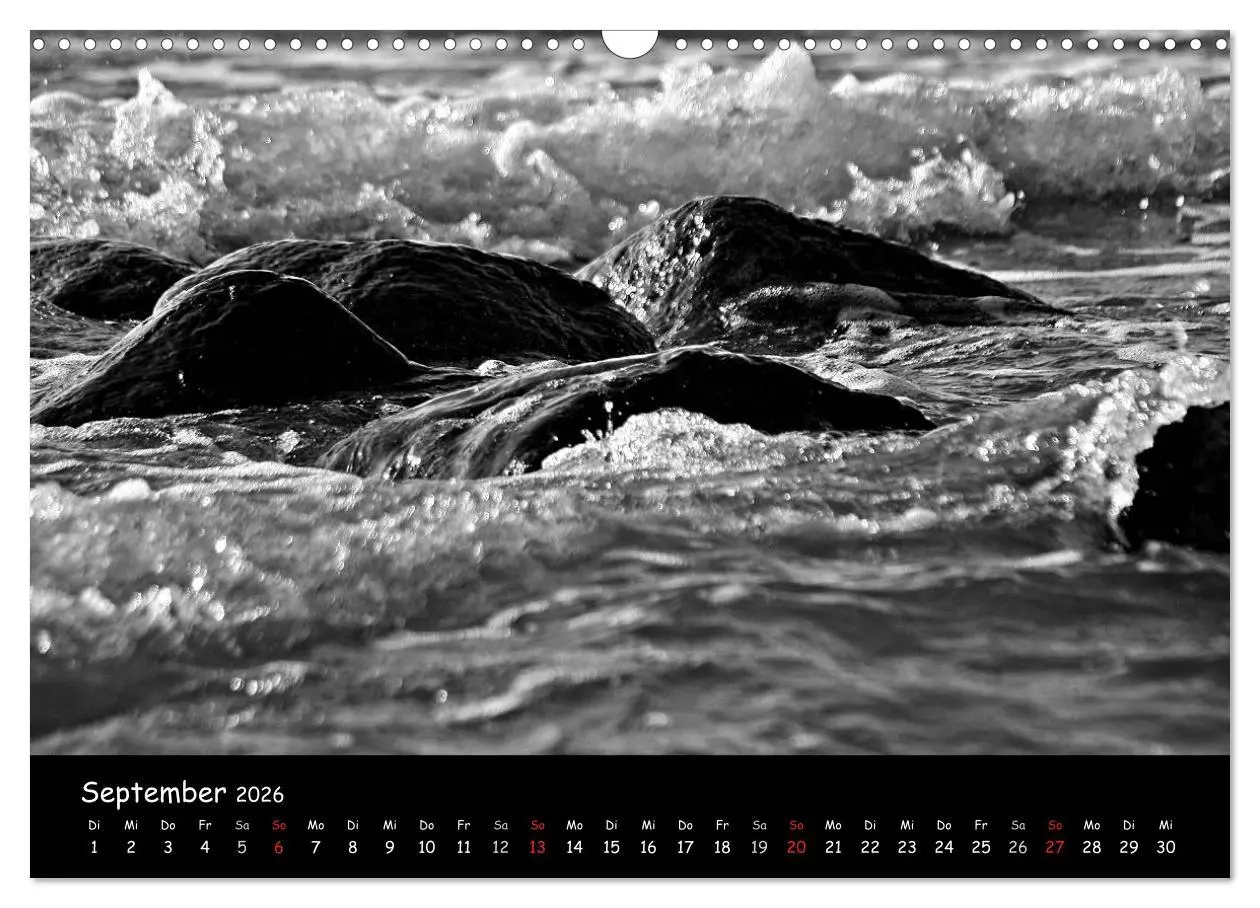Bild: 9783516226539 | Rügen in schwarz-weiß (Wandkalender 2026 DIN A3 quer), CALVENDO...