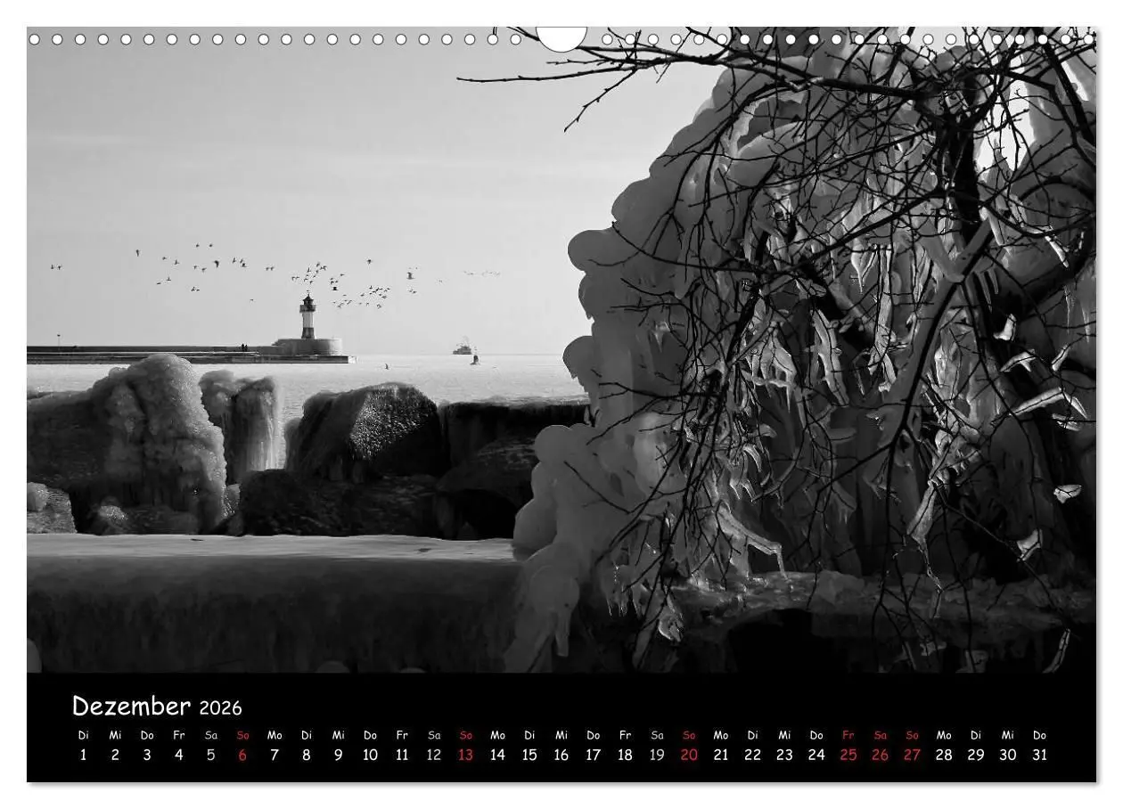 Bild: 9783516226539 | Rügen in schwarz-weiß (Wandkalender 2026 DIN A3 quer), CALVENDO...