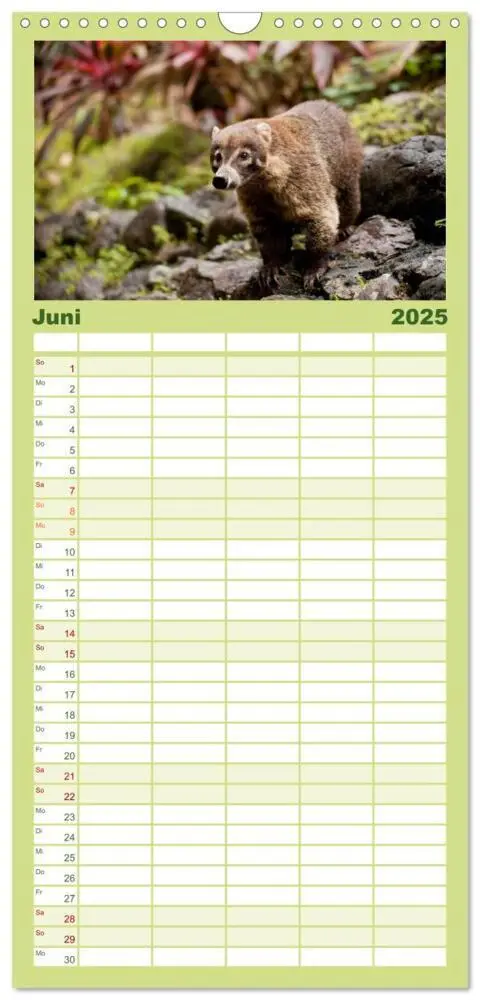 Bild: 9783457126639 | Familienplaner 2025 - Costa Rica mit 5 Spalten (Wandkalender, 21 x...