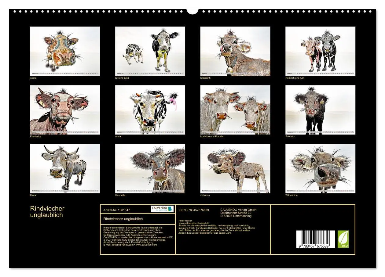 Bild: 9783457676639 | Rindviecher unglaublich (hochwertiger Premium Wandkalender 2026 DIN...
