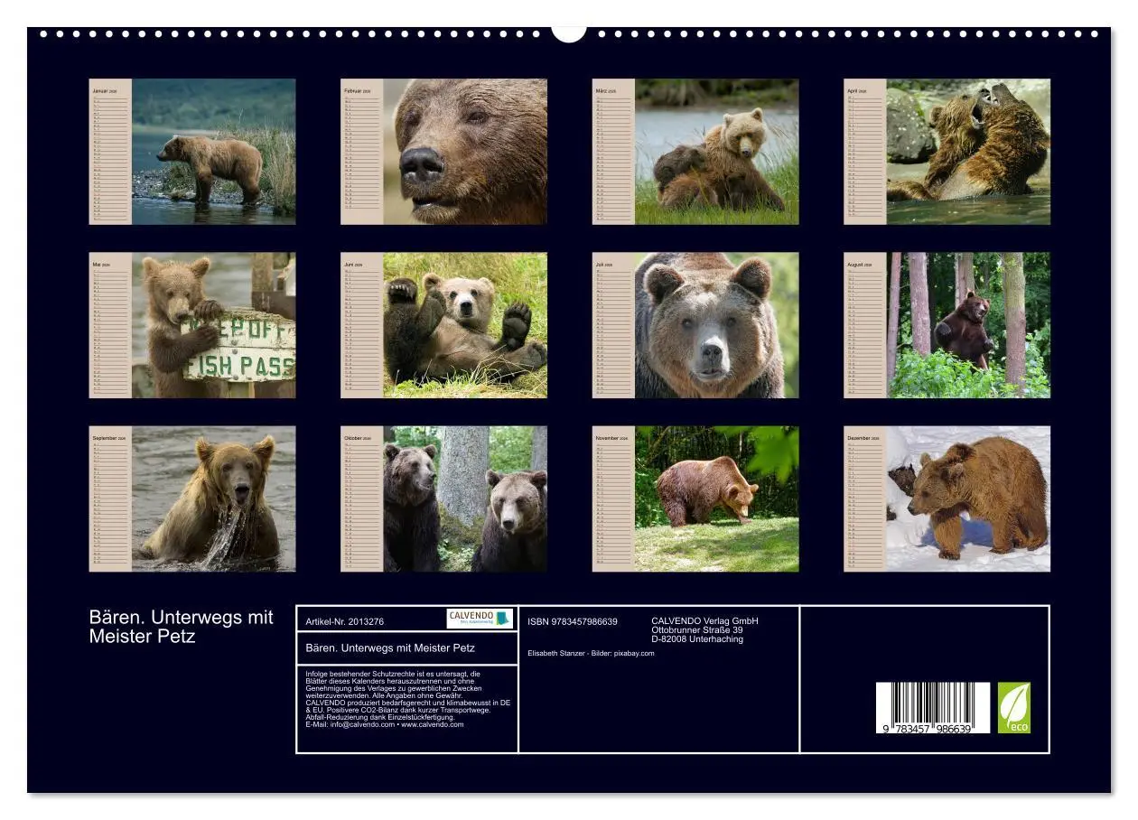 Bild: 9783457986639 | Bären. Unterwegs mit Meister Petz (hochwertiger Premium...