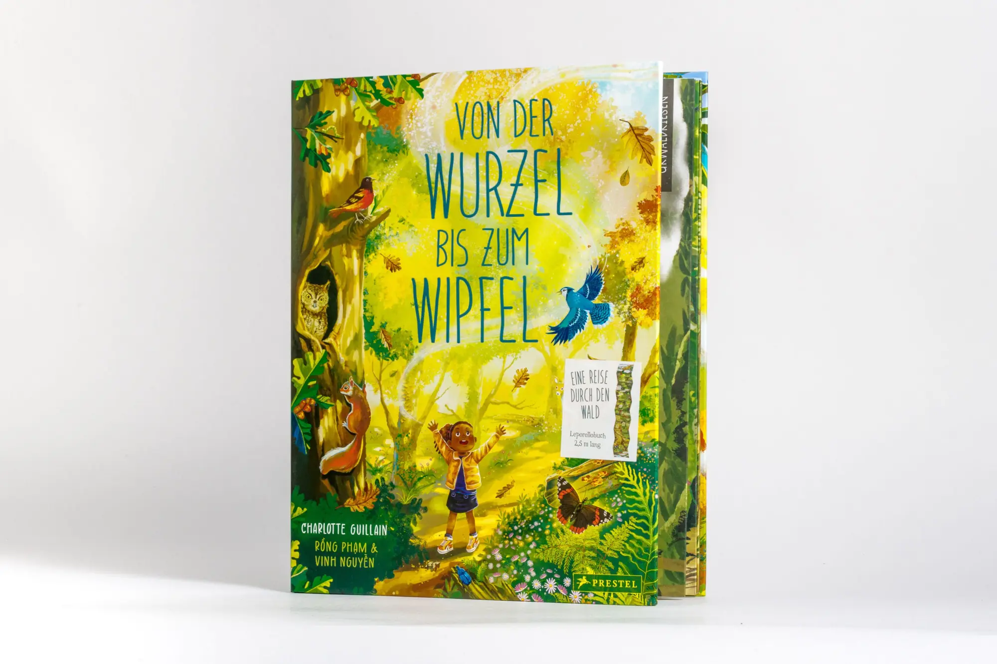 Bild: 9783791376639 | Von der Wurzel bis zum Wipfel | Charlotte Guillain (u. a.) | Buch