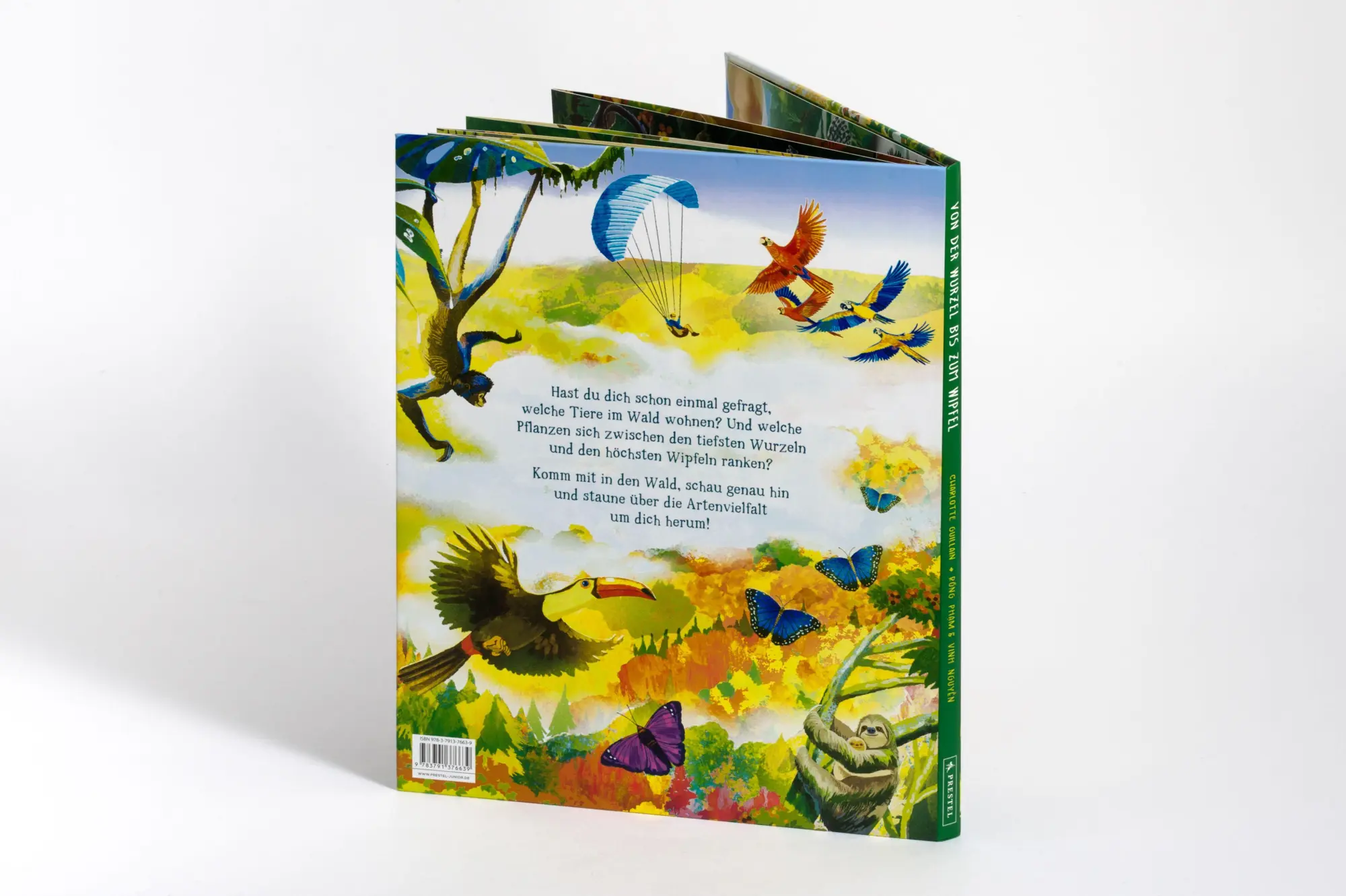 Bild: 9783791376639 | Von der Wurzel bis zum Wipfel | Charlotte Guillain (u. a.) | Buch