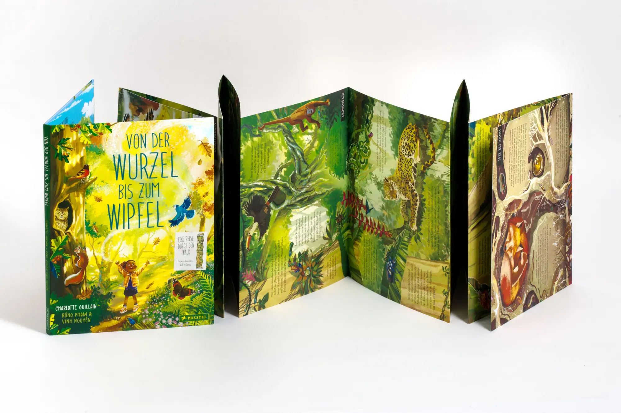 Bild: 9783791376639 | Von der Wurzel bis zum Wipfel | Charlotte Guillain (u. a.) | Buch