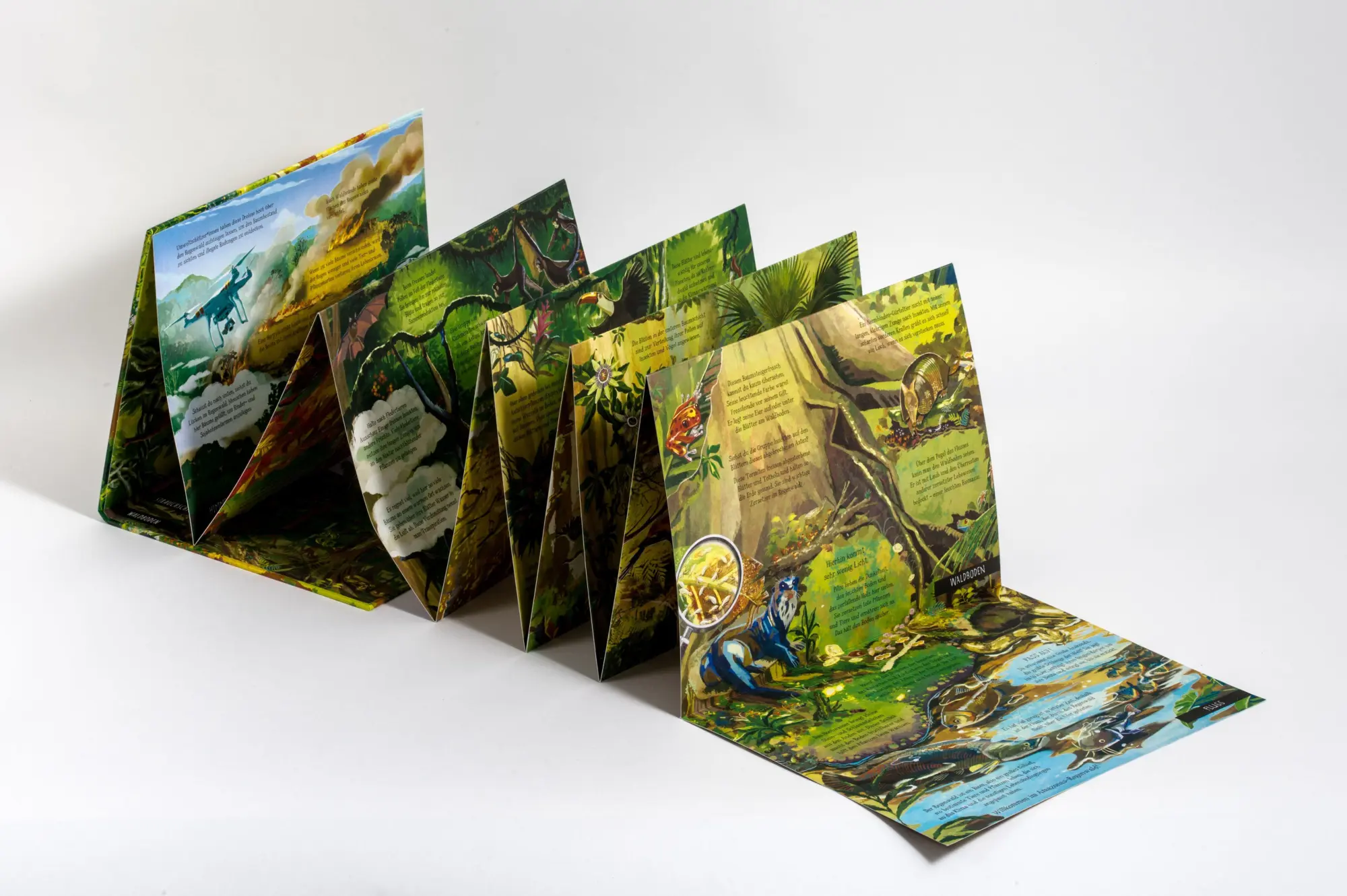Bild: 9783791376639 | Von der Wurzel bis zum Wipfel | Charlotte Guillain (u. a.) | Buch