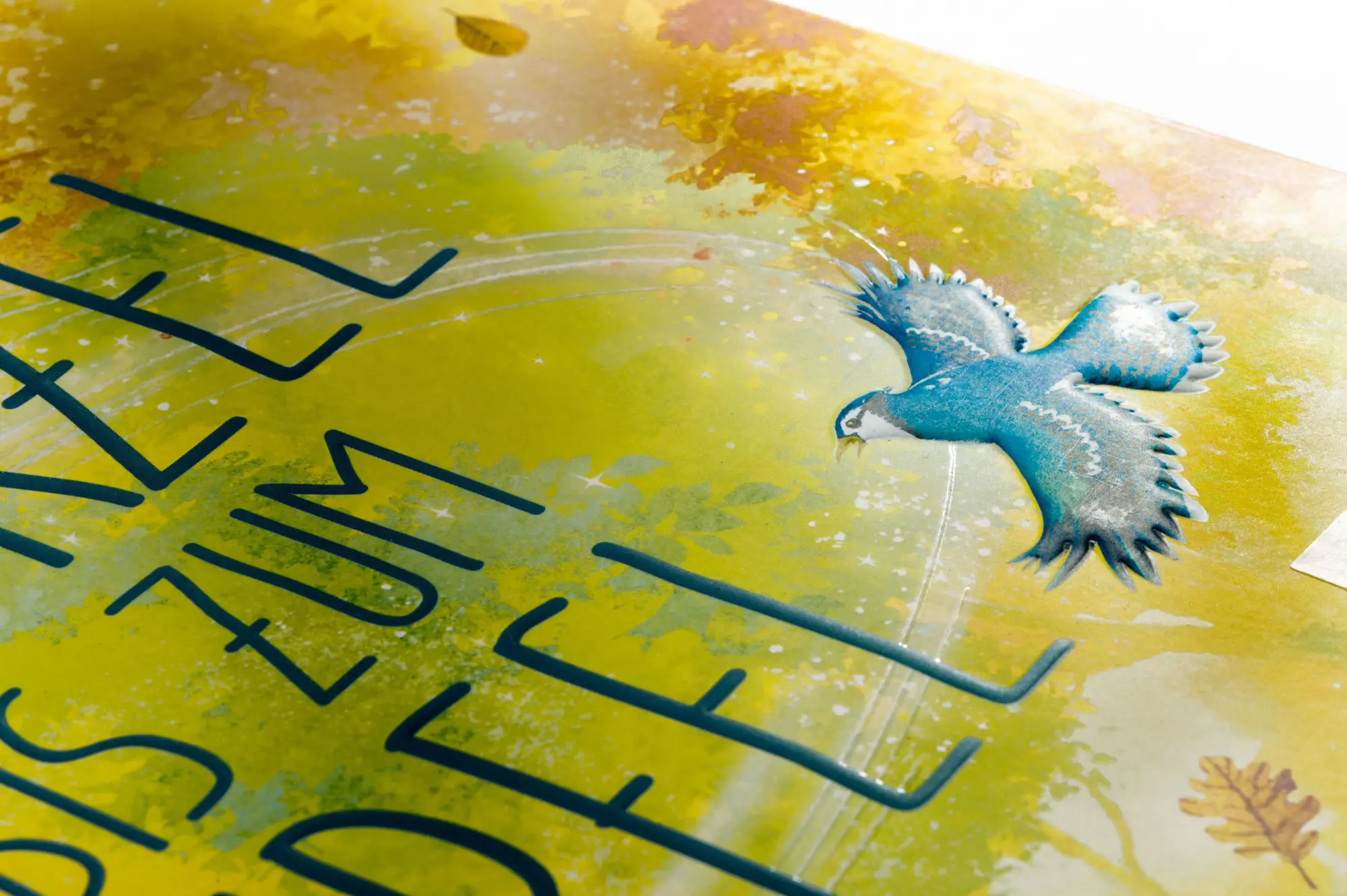 Bild: 9783791376639 | Von der Wurzel bis zum Wipfel | Charlotte Guillain (u. a.) | Buch