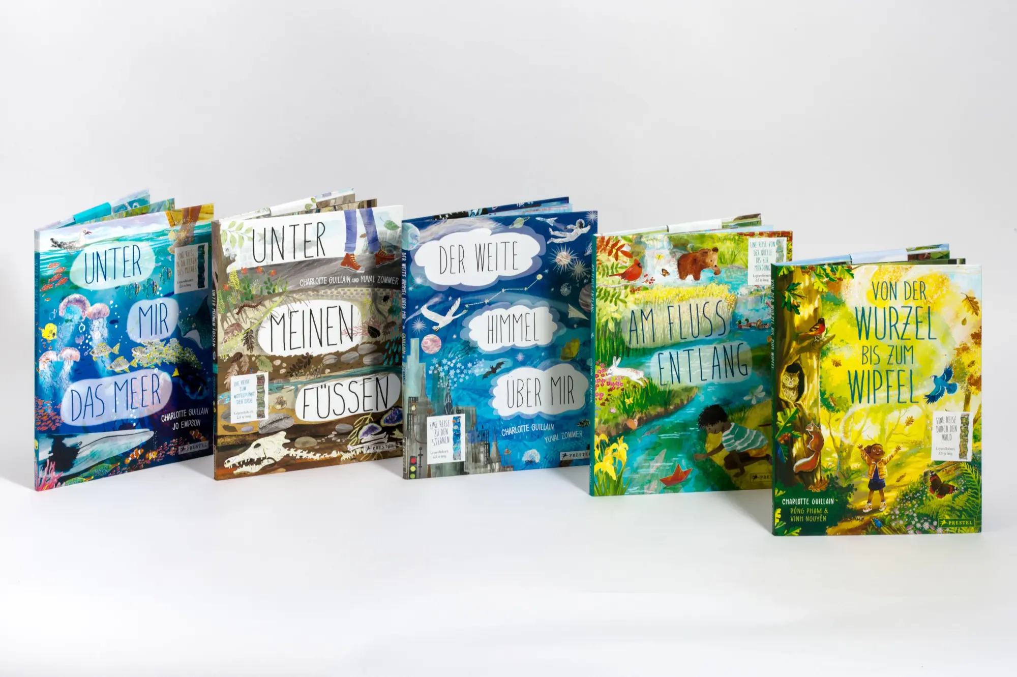 Bild: 9783791376639 | Von der Wurzel bis zum Wipfel | Charlotte Guillain (u. a.) | Buch
