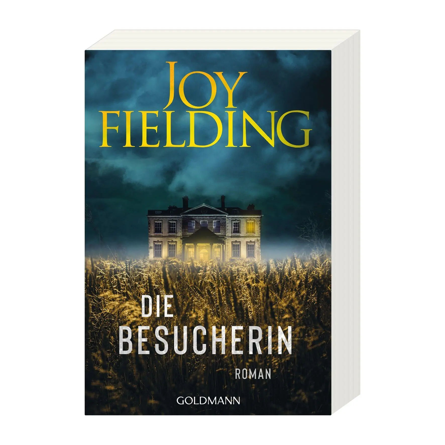 Bild: 9783442496839 | Die Besucherin | Joy Fielding | Taschenbuch | 448 S. | Deutsch | 2025