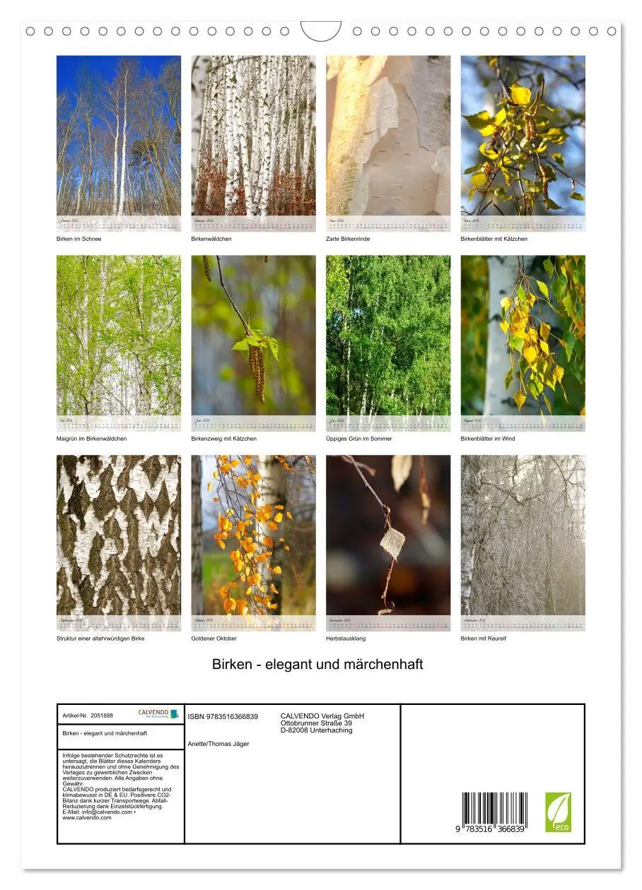 Bild: 9783516366839 | Birken - elegant und märchenhaft (Wandkalender 2026 DIN A3 hoch),...