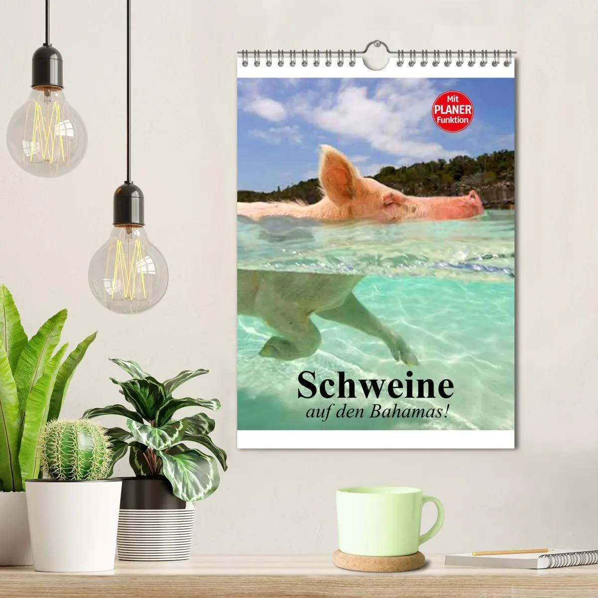 Bild: 9783516436839 | Schweine auf den Bahamas! (Wandkalender 2026 DIN A4 hoch), CALVENDO...