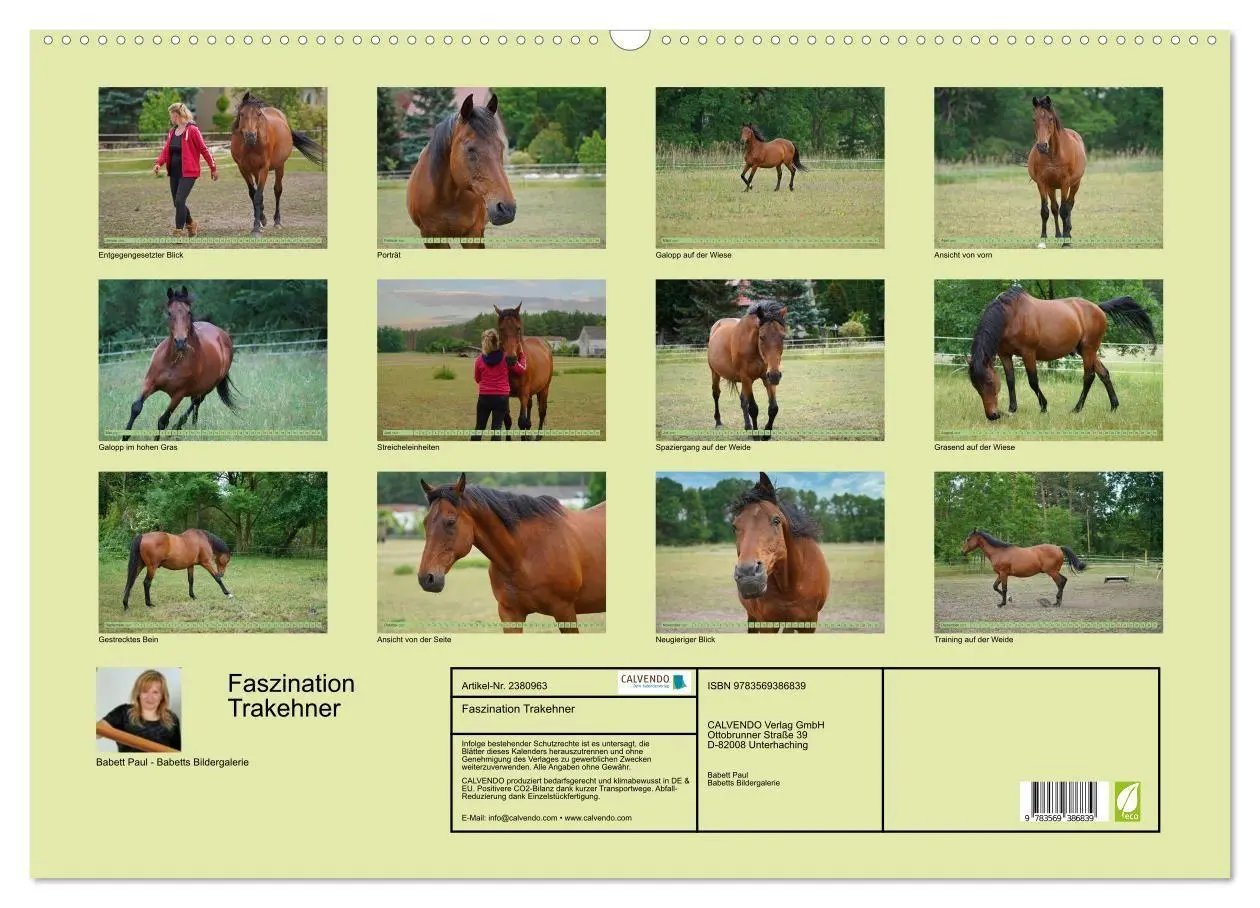 Bild: 9783569386839 | Faszination Trakehner (Wandkalender 2027 DIN A2 quer), CALVENDO...