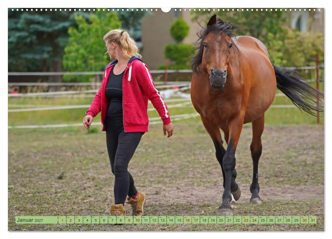 Bild: 9783569386839 | Faszination Trakehner (Wandkalender 2027 DIN A2 quer), CALVENDO...