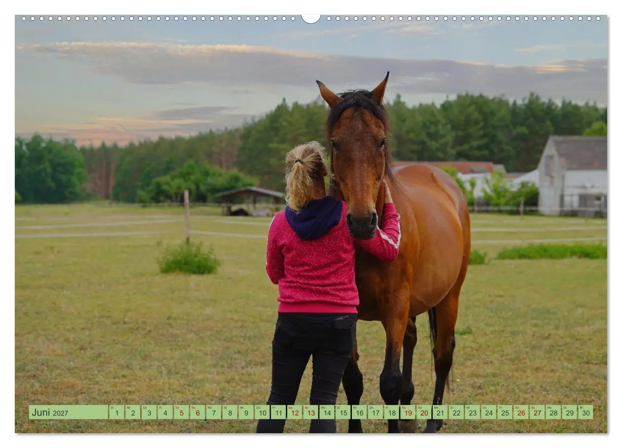 Bild: 9783569386839 | Faszination Trakehner (Wandkalender 2027 DIN A2 quer), CALVENDO...