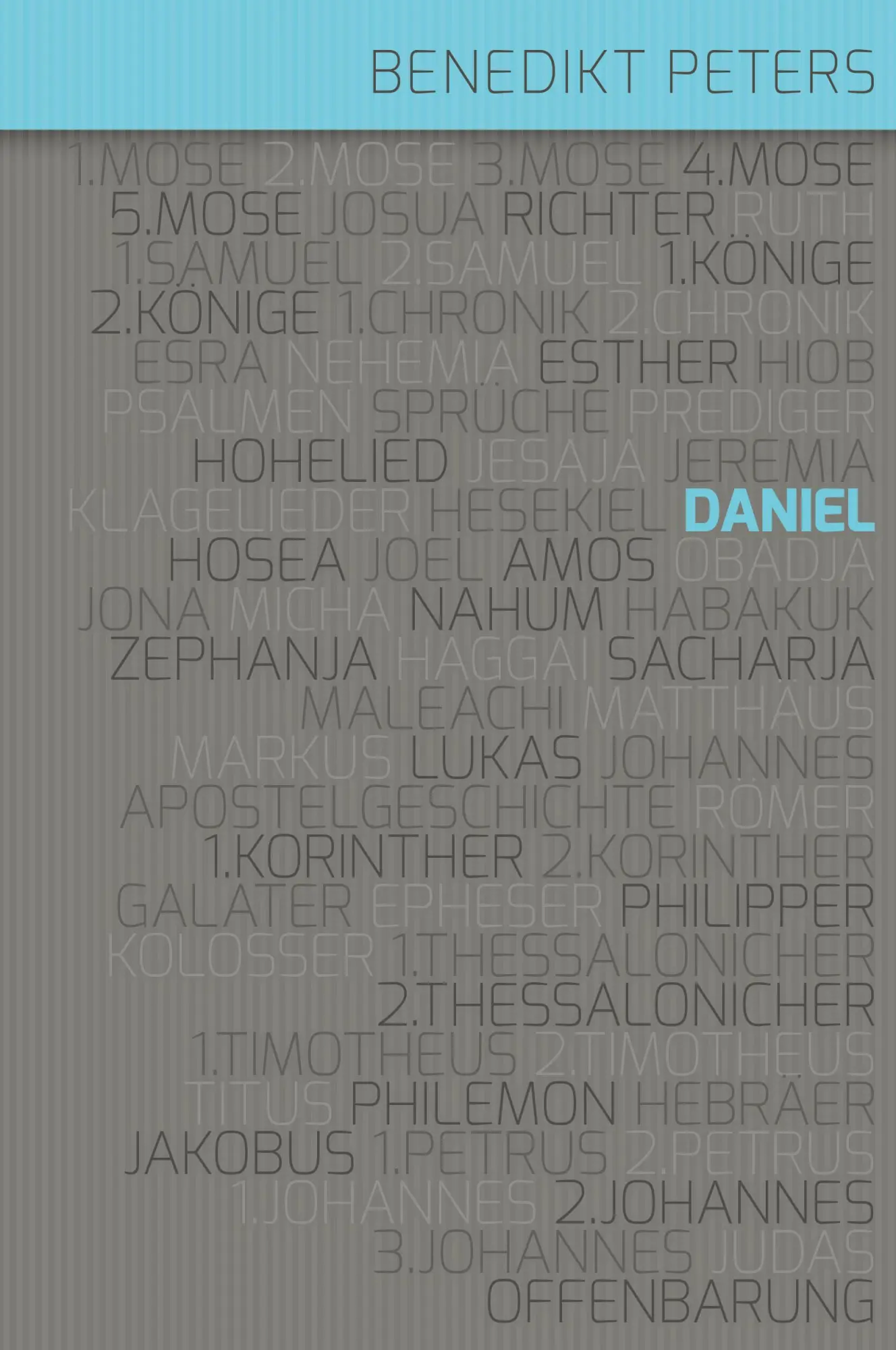 Cover: 9783866996939 | Kommentar zum Buch Daniel | Benedikt Peters | Buch | 336 S. | Deutsch