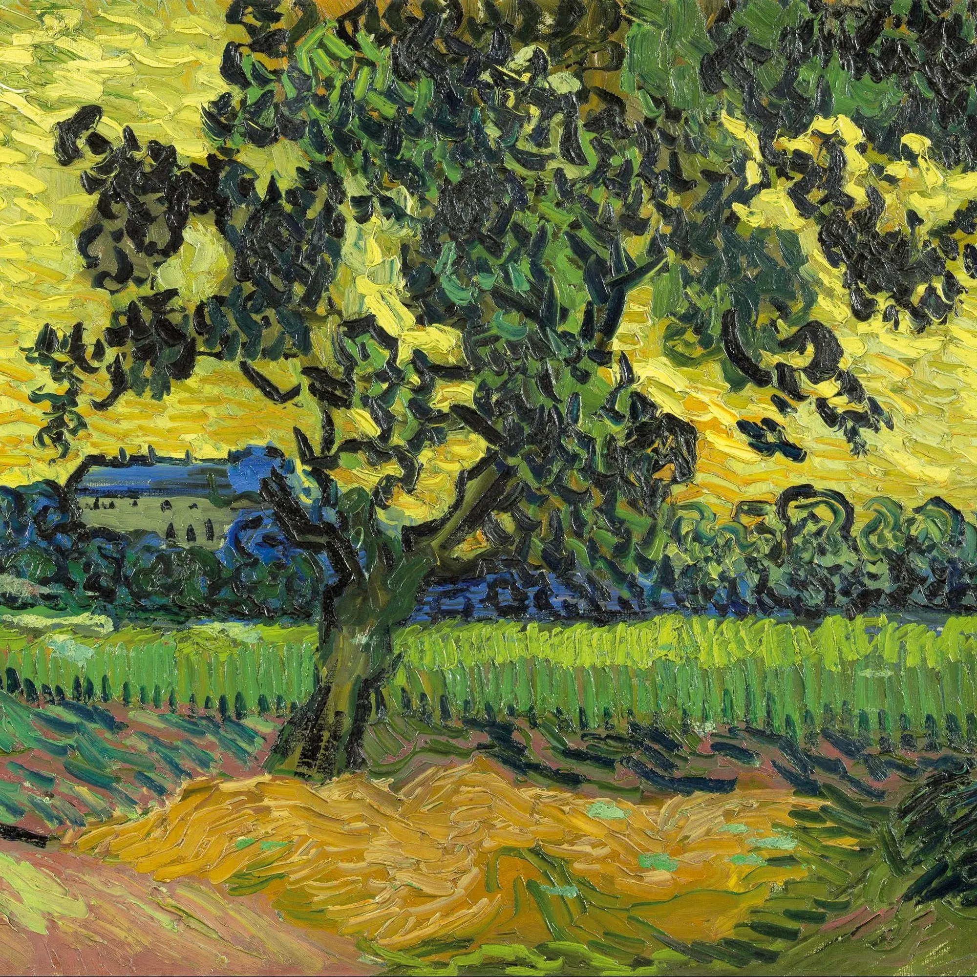 Bild: 9783959296939 | van Gogh - Colours of the Provence 2027 | Kalender 2027 | Kalender