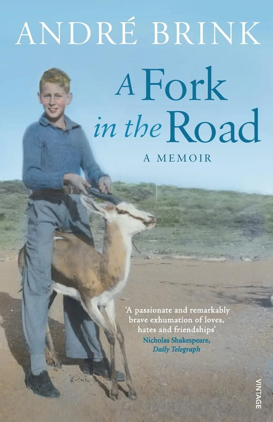 Cover: 9780099527039 | A Fork in the Road | André Brink | Taschenbuch | Englisch | 2010