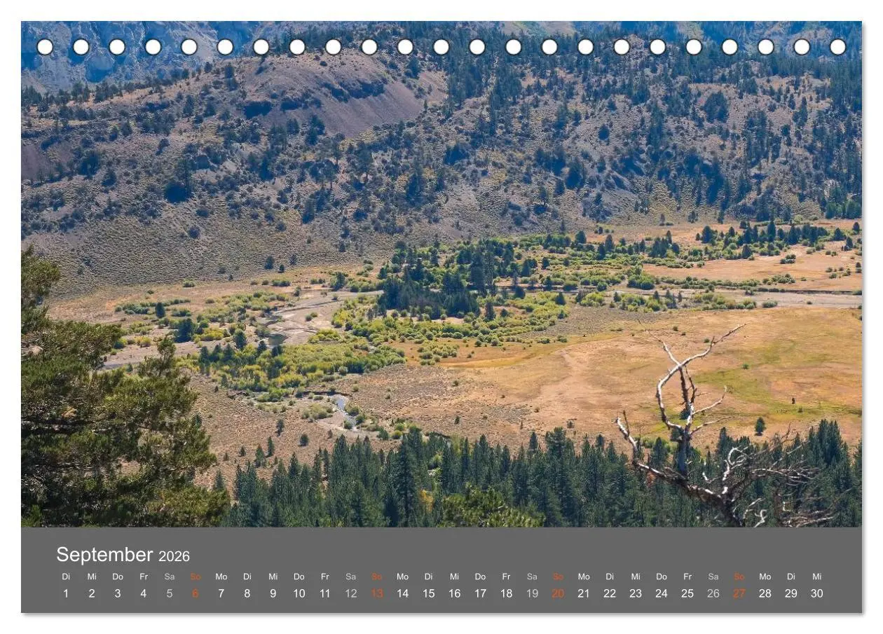 Bild: 9783516177039 | American Freedom (Tischkalender 2026 DIN A5 quer), CALVENDO...