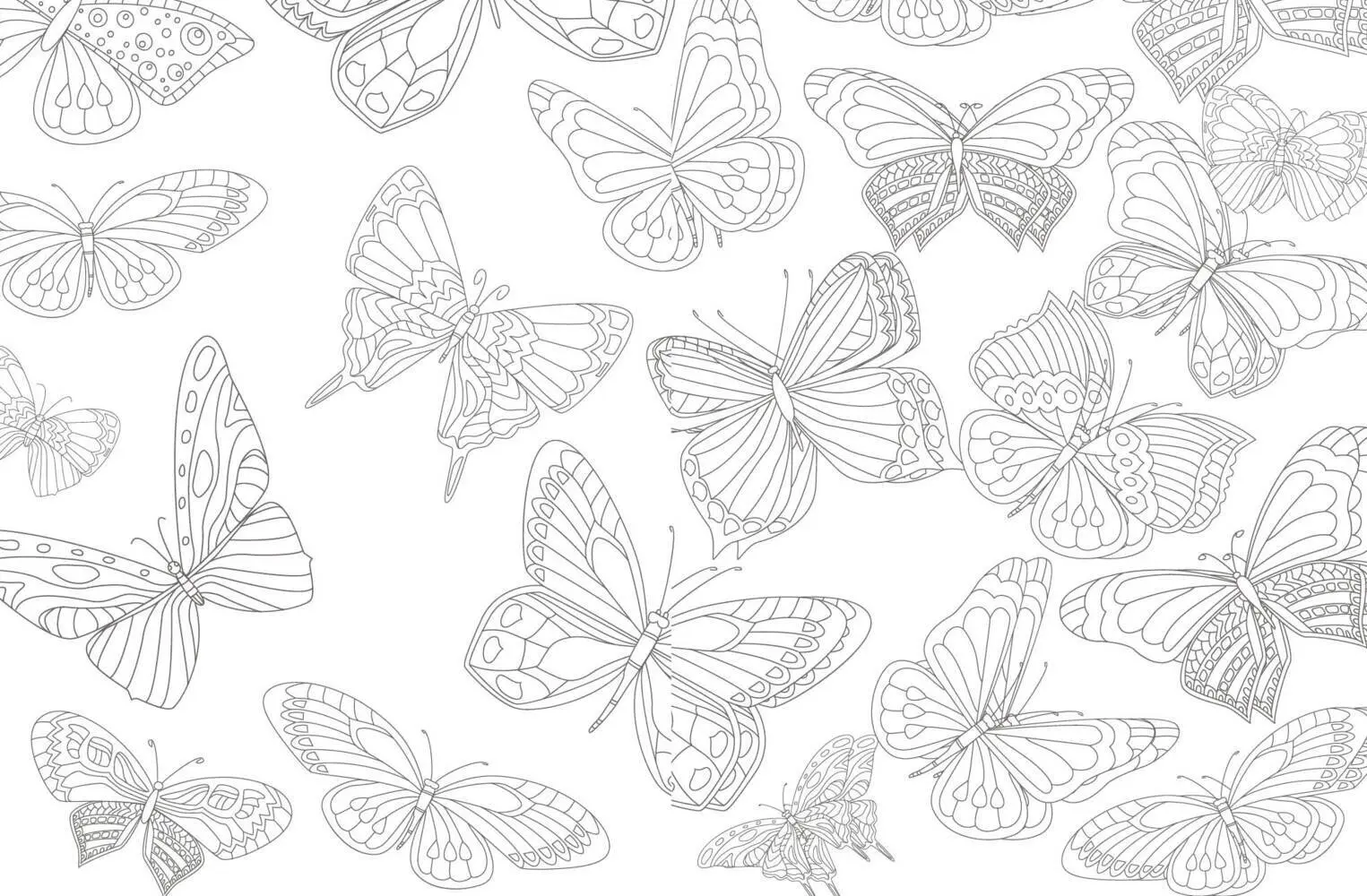 Bild: 9783745927139 | Colorful Mandala - Blüten und Schmetterlinge | Taschenbuch | 96 S.